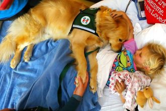 Έρευνα: Τα σκυλιά κάνουν καλό στην υγεία των παιδιών
