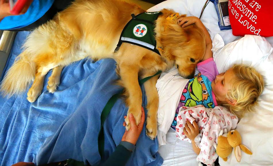 Έρευνα: Τα σκυλιά κάνουν καλό στην υγεία των παιδιών