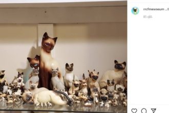 Ζευγάρι στις ΗΠΑ έχει 13.000 έργα τέχνης και αντικείμενα με θέμα τις γάτες!