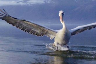 Η Ελλάδα στο νέο επεισόδιο της σειράς «Κρυμμένα Θαύματα της Ευρώπης»