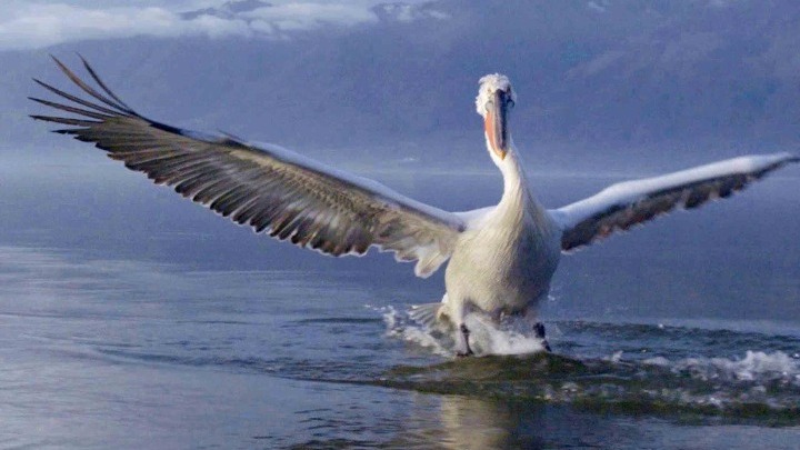 Η Ελλάδα στο νέο επεισόδιο της σειράς «Κρυμμένα Θαύματα της Ευρώπης»