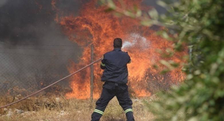 Φωτιά σε δασική έκταση στη Βαρβάσαινα Ηλείας