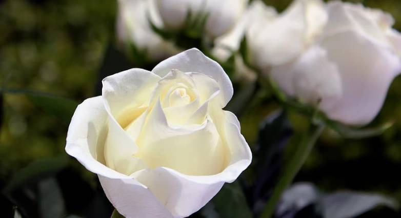 Πάτρα: Κηδεύονται σήμερα Τετάρτη