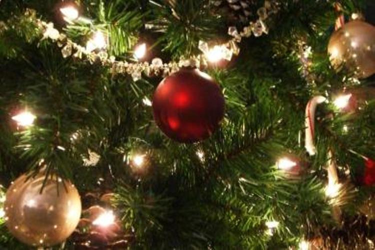 Χριστουγεννιάτικες δημιουργίες στο Πολύεδρο για παιδιά!