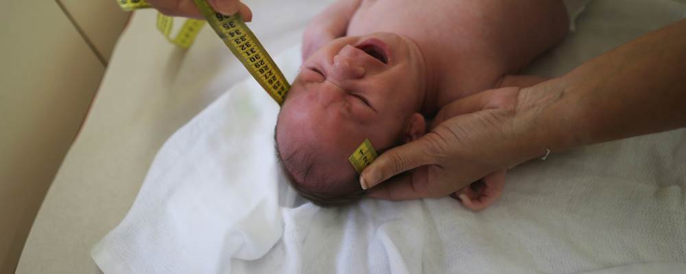 ΠΟΥ: Ο ιός Ζίκα μπορεί να φτάσει στην Ευρώπη το καλοκαίρι -Σε ποια βαθμίδα κινδύνου είναι η Ελλάδα