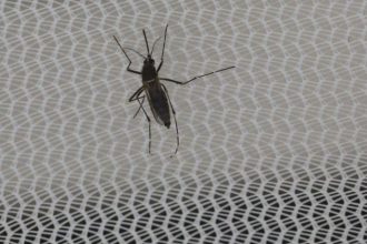 Ο Ζίκα παραμένει για καιρό στο σπέρμα