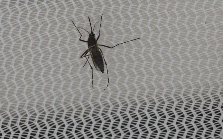 Ο Ζίκα παραμένει για καιρό στο σπέρμα