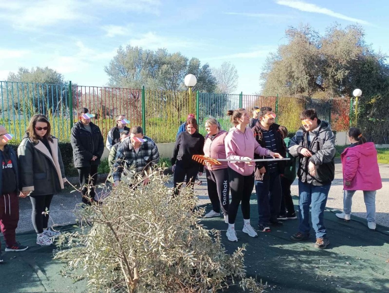 Τα παιδιά των ΚΔΑΠΑμεΑ «ΚΟΜΑΙΘΩ» και «ΑΜΠΕΤ ΧΑΣΜΑΝ» του ΚΟΔΗΠ μάζεψαν τις ελιές τους