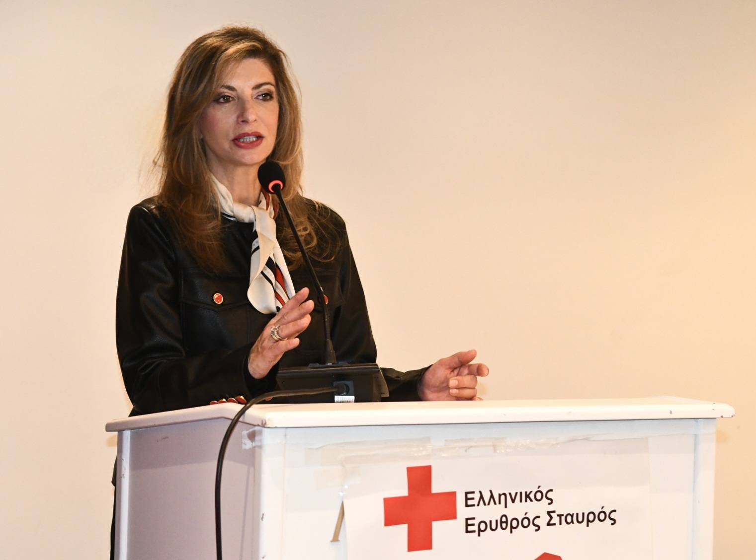 Η Βίβιαν Σαμούρη στην πίτα του Ερυθρού Σταυρού