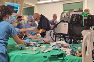 «Γέφυρα ζωής» για κοριτσάκι 3,5 ετών – Μεταφέρθηκε για μεταμόσχευση στην Μπολόνια