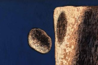 Μιχάλης Μανουσάκης: Έκθεση με έργα του στην Ανώτατη Σχολή Καλών Τεχνών