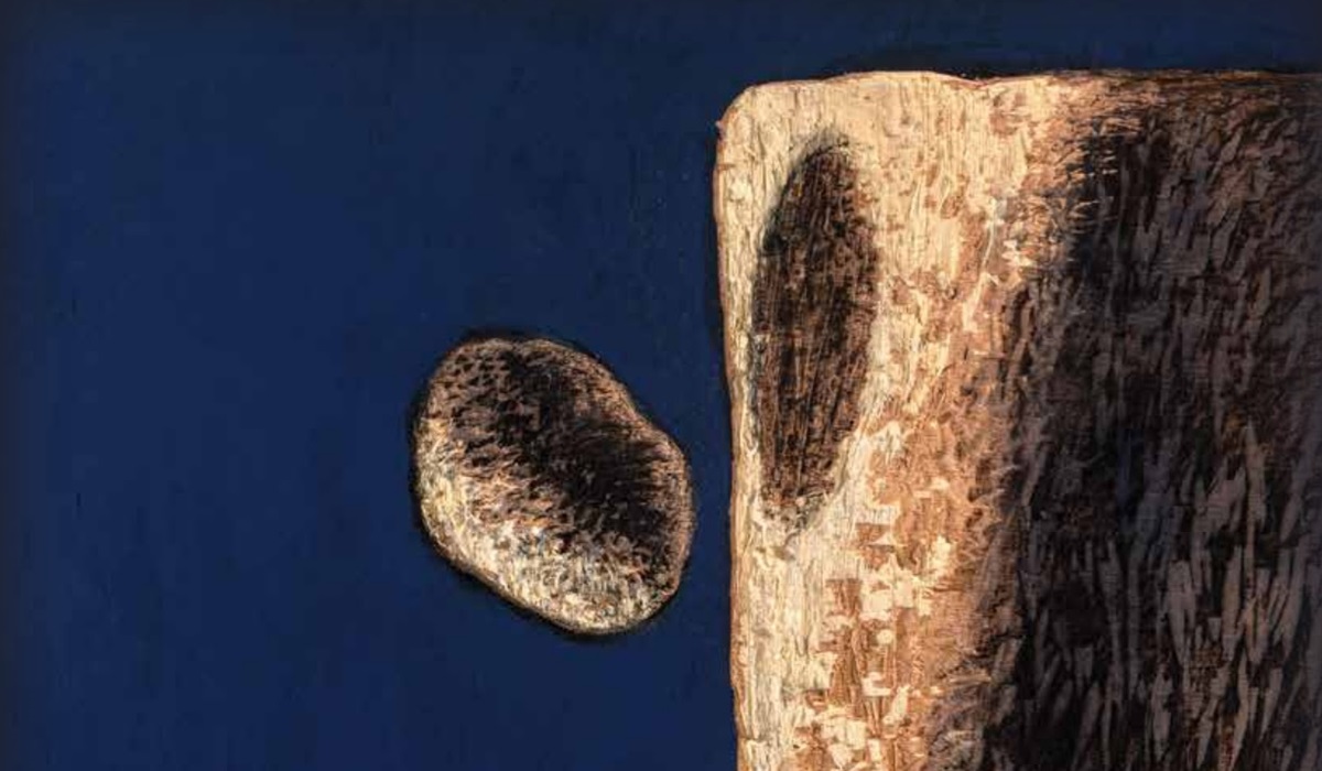 Μιχάλης Μανουσάκης: Έκθεση με έργα του στην Ανώτατη Σχολή Καλών Τεχνών