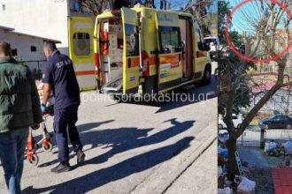 Στο νοσοκομείο 50χρονος που έπεσε από ψηλό δέντρο που κλάδευε