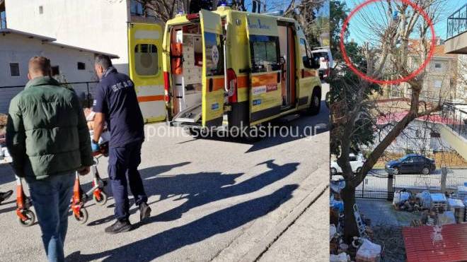 Στο νοσοκομείο 50χρονος που έπεσε από ψηλό δέντρο που κλάδευε