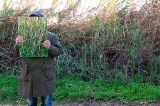 Eγκαινιάζεται στην Αθήνα η έκθεση «Neo Tropical» του Πατρινού εικαστικού Γιάννη Παπαδόπουλου