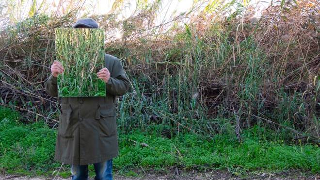 Eγκαινιάζεται στην Αθήνα η έκθεση «Neo Tropical» του Πατρινού εικαστικού Γιάννη Παπαδόπουλου