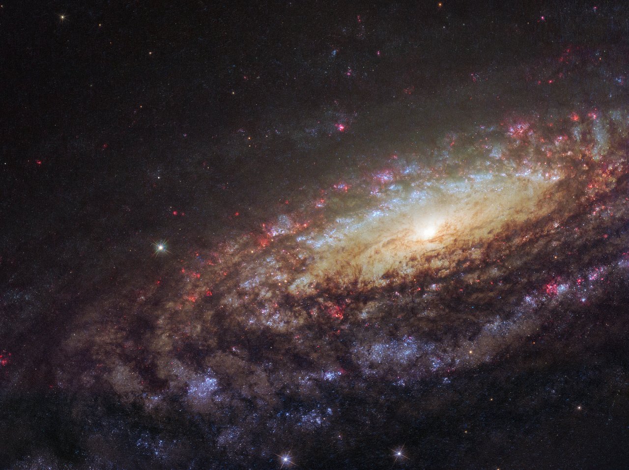 To Hubble φωτογράφισε νεογέννητα άστρα στο κοντινότερο στη Γη εργοστάσιο παραγωγής νέων άστρων