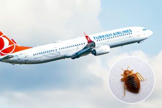 Turkish Airlines: Καταγγελίες για κοριούς στις πτήσεις της - Δάγκωσαν επιβάτες, πώς αντέδρασε η εταιρεία