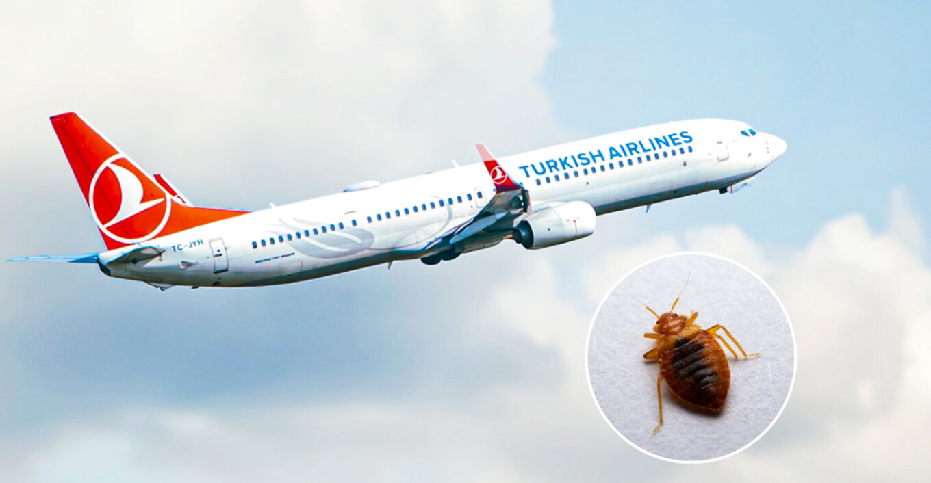 Turkish Airlines: Καταγγελίες για κοριούς στις πτήσεις της - Δάγκωσαν επιβάτες, πώς αντέδρασε η εταιρεία