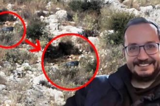 Τα γυαλιά και τα ρούχα στη σορό που εντοπίστηκε ανήκουν στον Βασίλη Καλογήρου, γιο της Εισαγγελέως