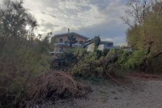 Δάφνες Πατρών: Τα συνεργεία ξερίζωσαν τις δάφνες - Φωνάζουν οι κάτοικοι για την απίστευτη κατάσταση ΦΩΤΟ