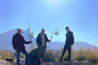 Πάτρα: Δενδροφύτευση με μαθητές