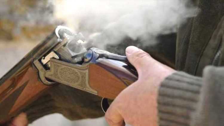 Αιτωλοακαρνανία: Πυροβόλησε και σκότωσε σκύλο με κυνηγετικό όπλο!