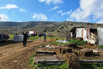 Βρέθηκε σορός άνδρα σε λόφο στον Τύρναβο - Τα ρούχα ταιριάζουν με του Βασίλη Καλογήρου που αγνοούνταν, στο σημείο η μητέρα του