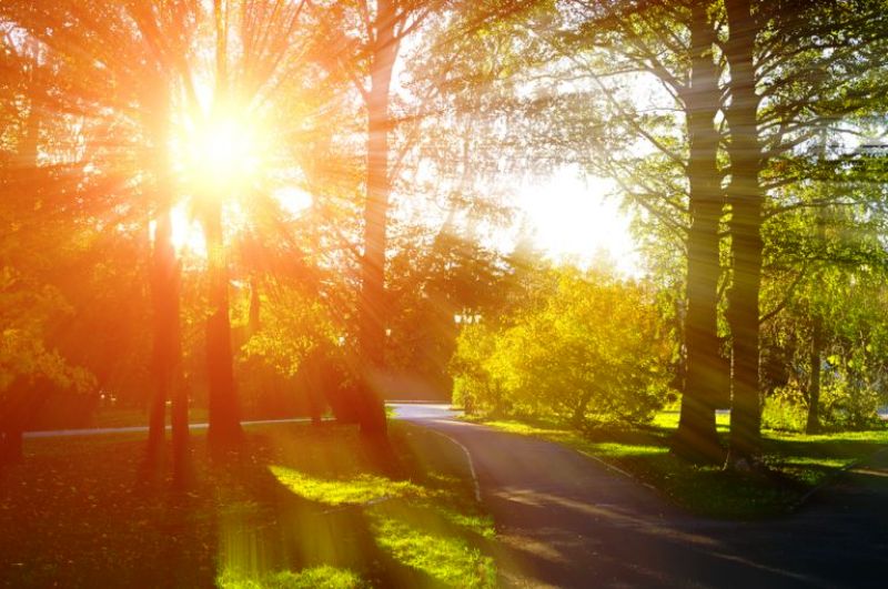 Σε περιοχές της Δυτ. Ελλάδας οι υψηλότερες θερμοκρασίες την Κυριακή - ΠΙΝΑΚΑΣ