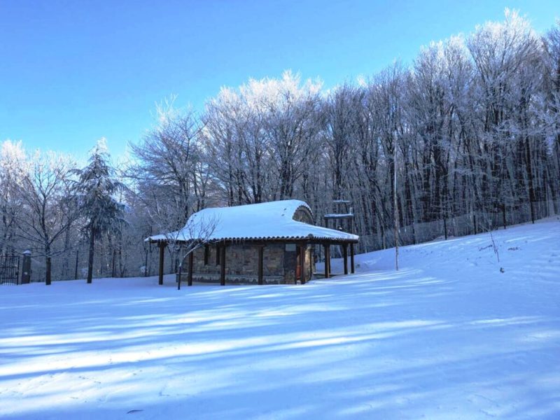 Κακοκαιρία Coral: Ισχυρός παγετός το Σαββατοκύριακο - Σάββατο η πιο κρύα ημέρα του φετινού χειμώνα