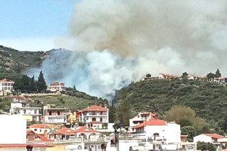 Επικίνδυνη φωτιά κοντά σε σπίτια στον Αστακό - ΝΕΟΤΕΡΑ (ΦΩΤΟ)