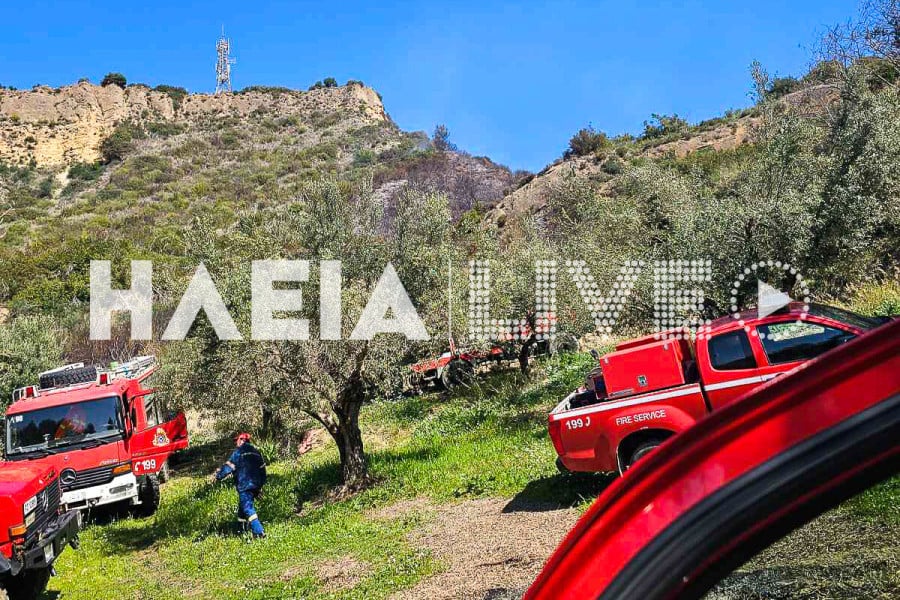 Ηλεία: Δύο πυρκαγιές σε Δαφνιώτισσα και Θολό