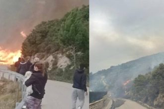 Φωτιά στη Λευκάδα: Συνελήφθη 60χρονος για εμπρησμό από αμέλεια