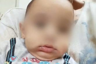 Αμαλιάδα: Αποδομείται η «νέκρωση εντέρου» ως αιτία θανάτου του Παναγιωτάκη - Στα χέρια της τριμελούς επιτροπής ο φάκελος (ΒΙΝΤΕΟ)