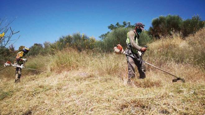 Δήμος Ζαχάρως: Καθαρίστε τα οικόπεδα σας