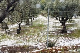 Καταστροφική χαλαζόπτωση στην Ηλεία - Ζημιές σε καλλιέργειες (ΦΩΤΟ)