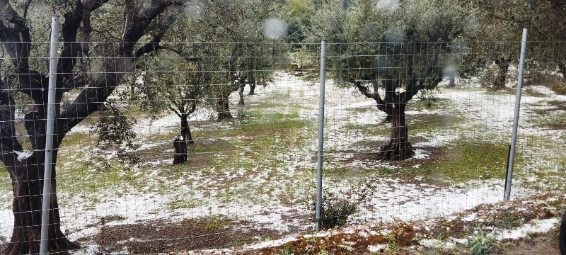 Καταστροφική χαλαζόπτωση στην Ηλεία - Ζημιές σε καλλιέργειες (ΦΩΤΟ)