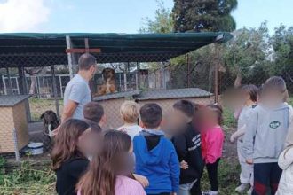Πάτρα: Μικροί μαθητές στη δομή φιλοξενίας αδέσποτων