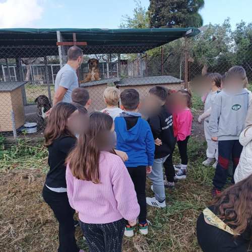 Πάτρα: Μικροί μαθητές στη δομή φιλοξενίας αδέσποτων