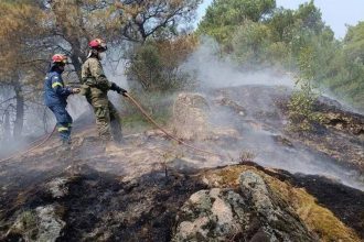 Κρέστενα: Οριοθετήθηκε η πυρκαγιά από την Πυροσβεστική