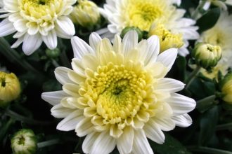 Πάτρα: Εφυγε από τη ζωή ο εφέτης δικαστής Ανδρέας Δημητρόπουλος