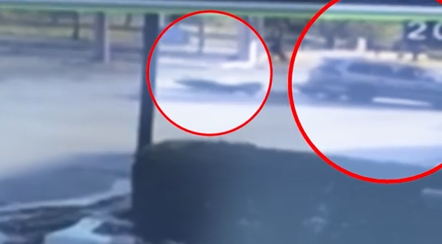 Δυτ. Αχαΐα: Τι λέει η μητέρα του 17χρονου συνεπιβάτη της μοτοσικλέτας για το τροχαίο που ΙΧ παρέσυρε και εγκατέλειψε τους νεαρούς