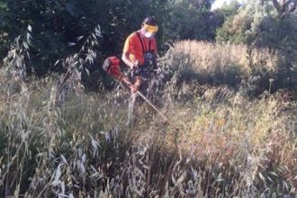 Δήμος Πατρέων: Παράταση έως 15 Ιουνίου για τον καθαρισμό οικοπέδων