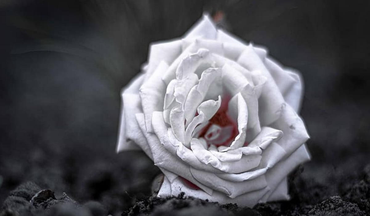 Πάτρα: Κηδεύεται το Σάββατο ο Παναγιώτης Παπαγεωργίου