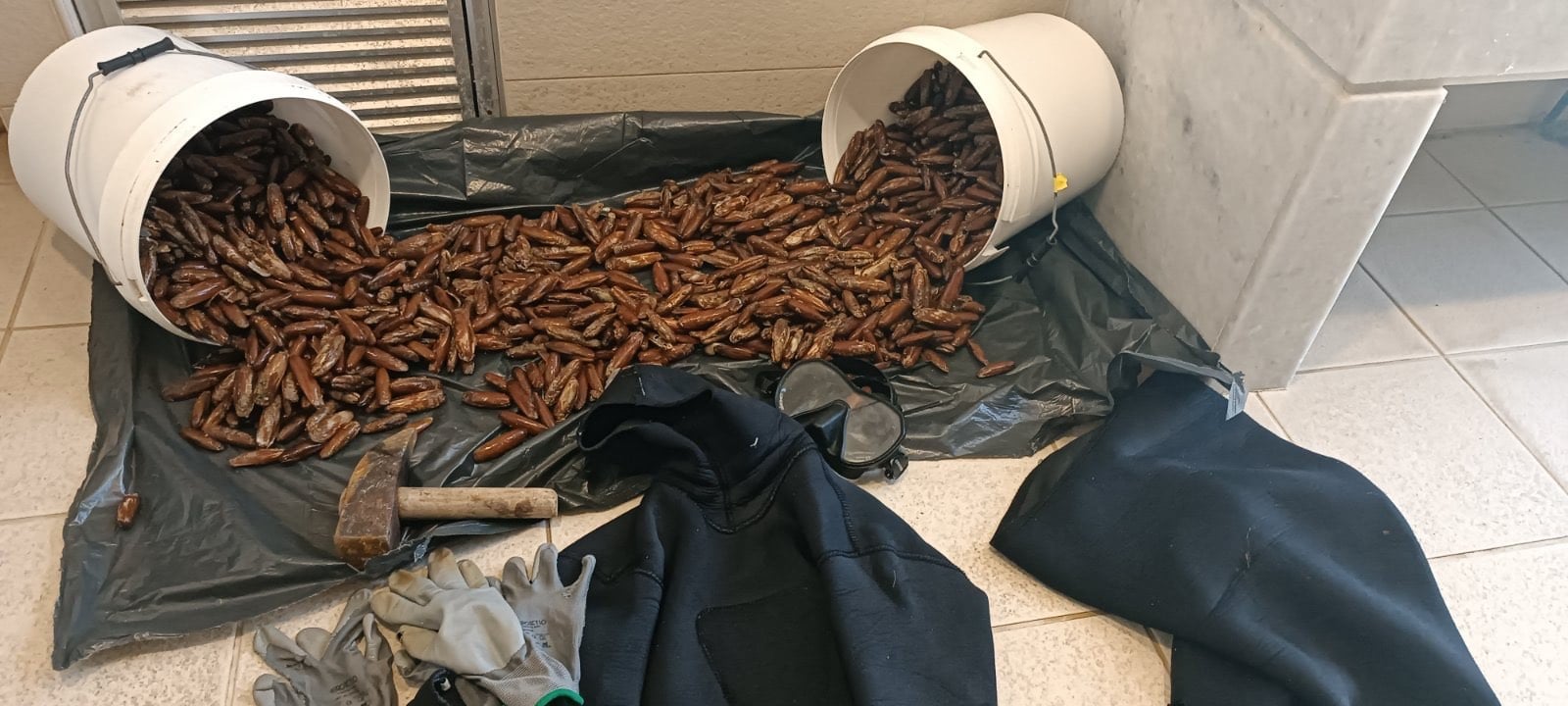 Δυτ. Ελλάδα: Αλλοδαπός αλίευε παράνομα πετροσωλήνες (ΦΩΤΟ)