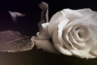 Αχαΐα: Κηδείες στην Πάτρα και τη Λακκόπετρα