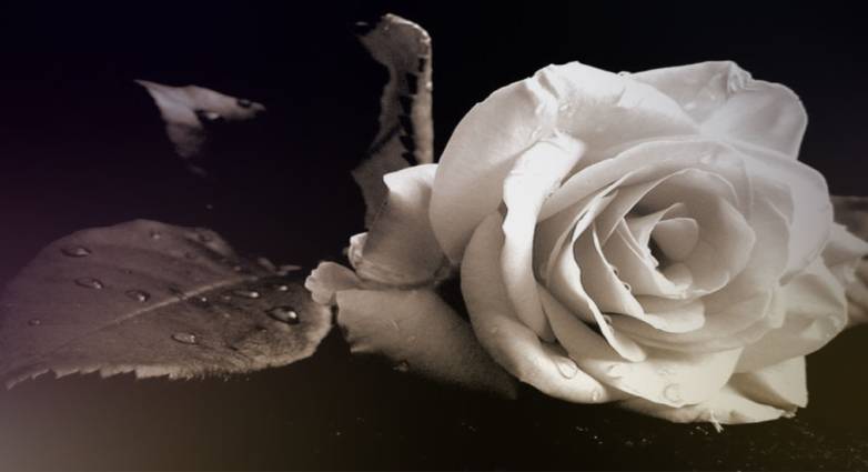 Αχαΐα: Κηδείες στην Πάτρα και τη Λακκόπετρα