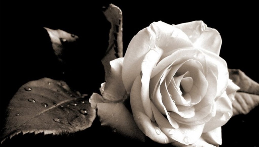 Πάτρα: "Έφυγε" ο Ιωάννης Μεσμπούρης - Συλλυπητήρια Πελετίδη-Σαμούρη