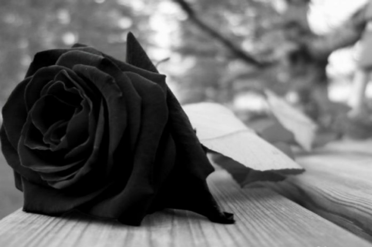 "Έφυγε" γνωστός Πατρινός φαρμακοποιός - ΦΩΤΟ