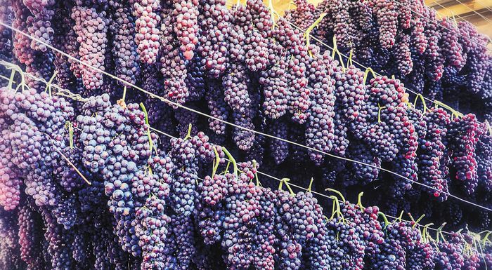 Αίτημα της Περιφέρειας Δυτικής Ελλάδας για άμεση στήριξη της παραγωγής κορινθιακής σταφίδας και οινοποιήσιμων σταφυλιών